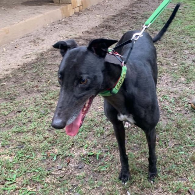 Photo of Bonnie