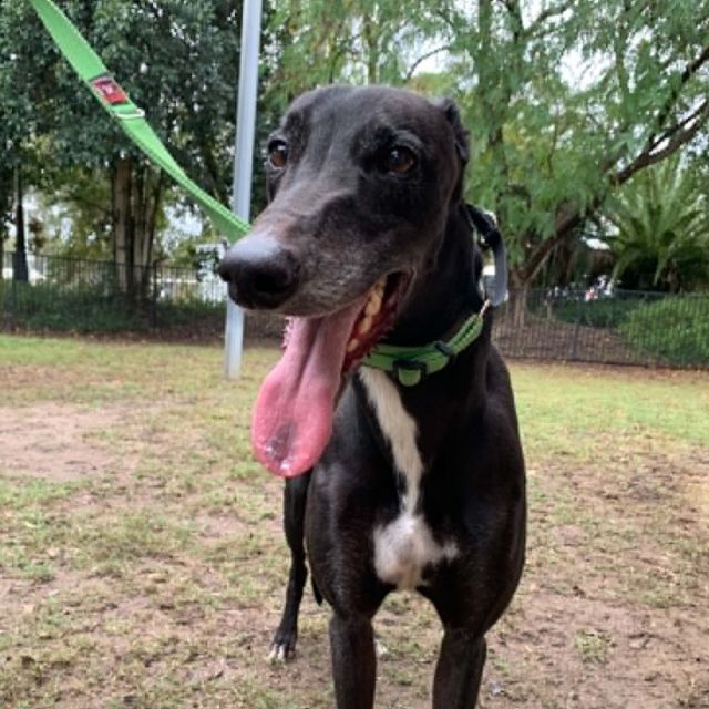 Photo of Ripley