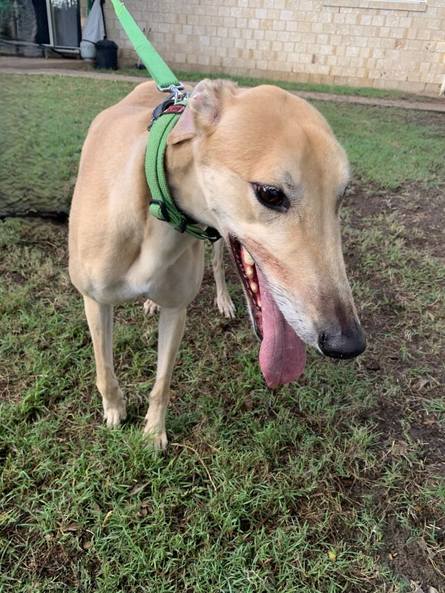 Photo of Jethro