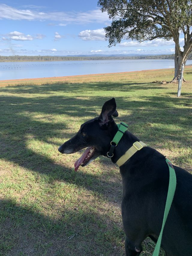 Photo of Bobby