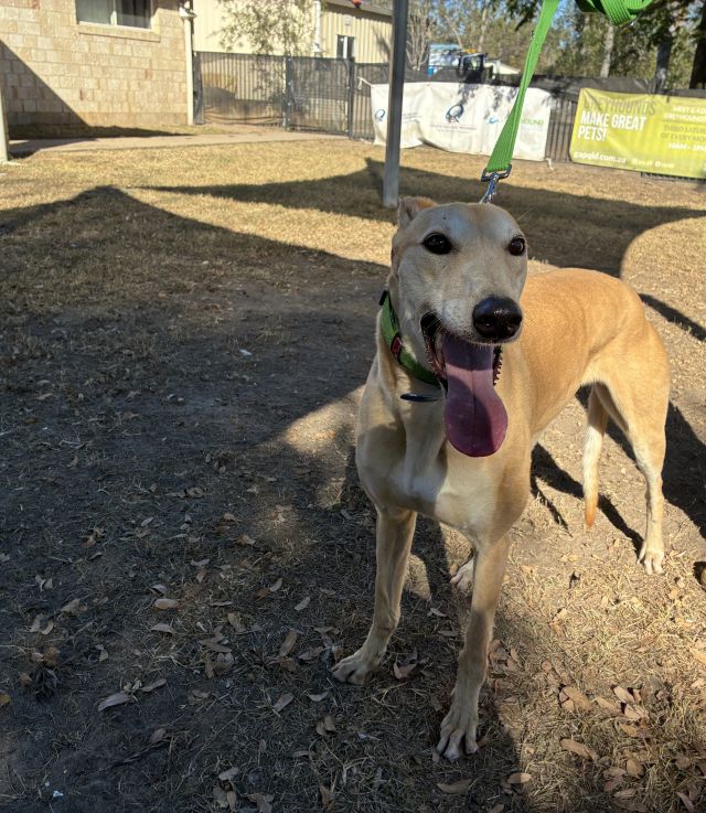 Photo of Sandy