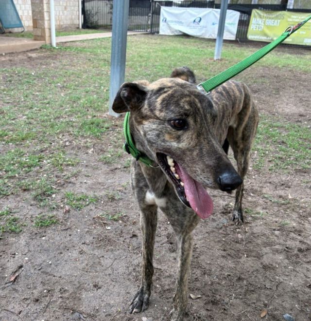 Photo of Major