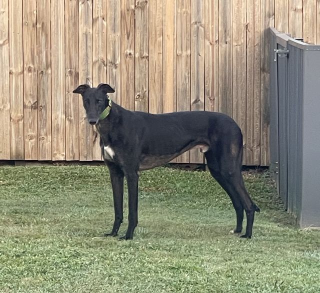 Photo of Kevin