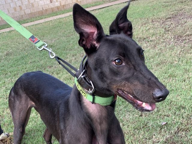 Photo of Wally