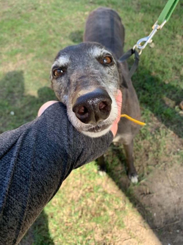 Photo of Daisy