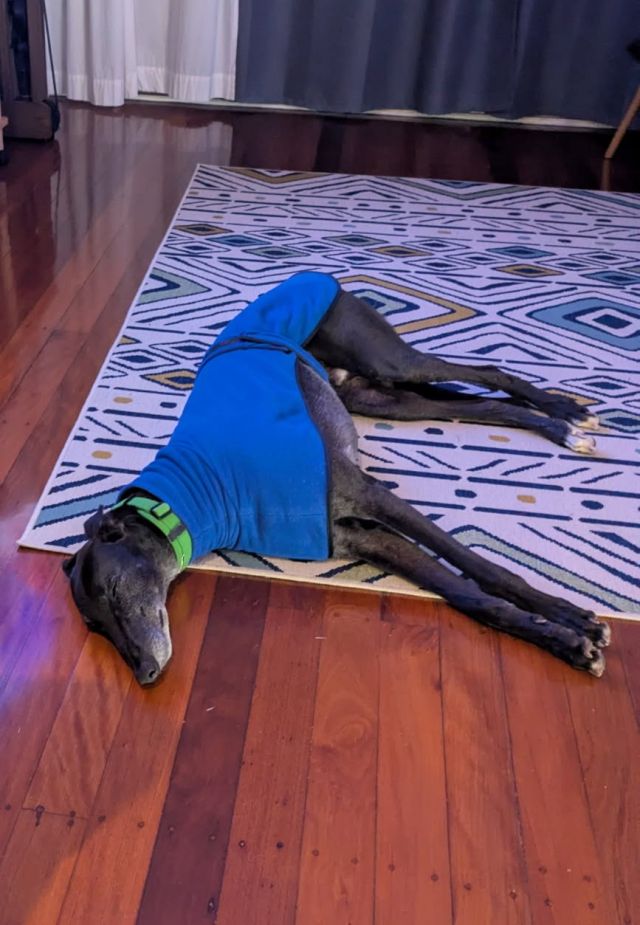 Photo of Kevin