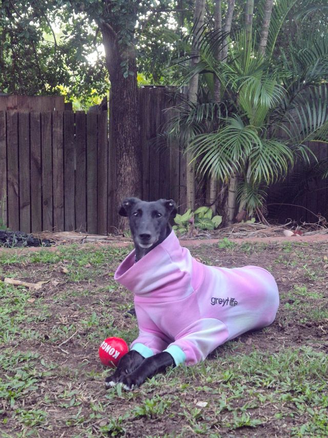 Photo of Gigi