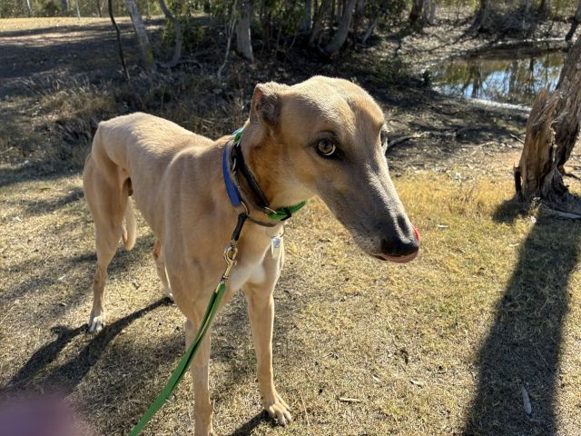 Photo of Dudley