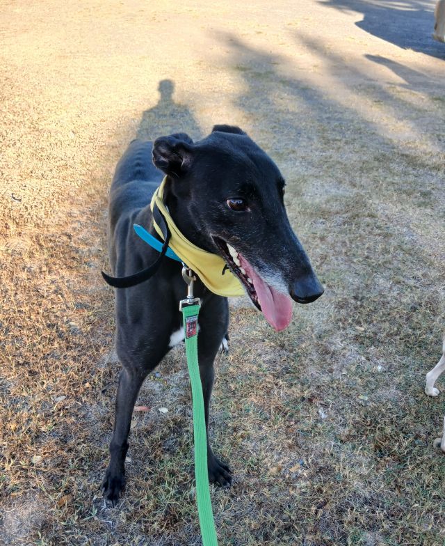 Photo of Jasper