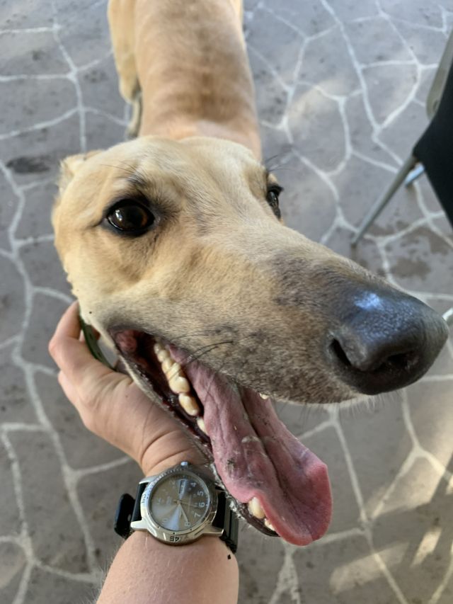 Photo of Jet