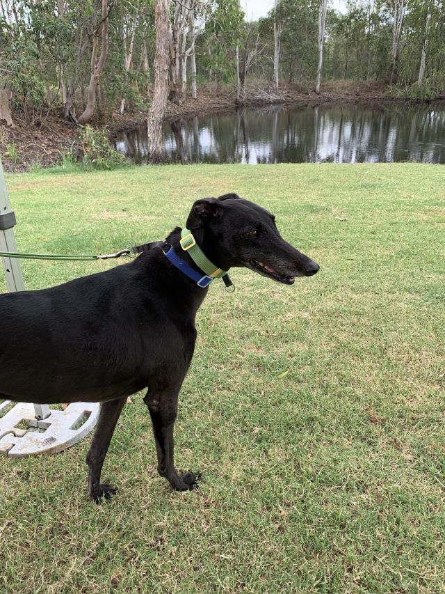 Photo of Cassidy