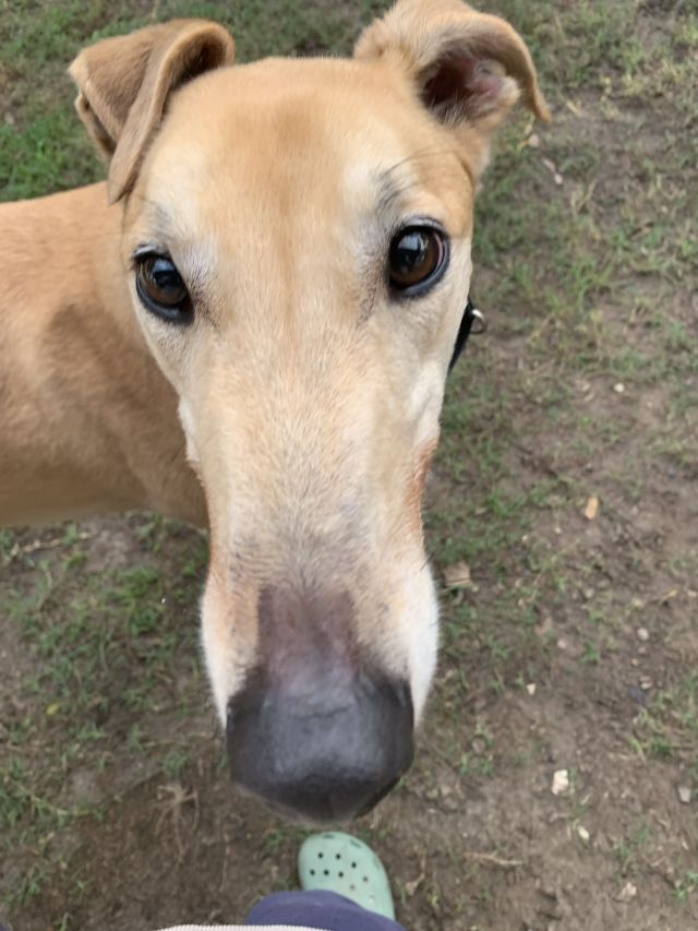 Photo of Jethro