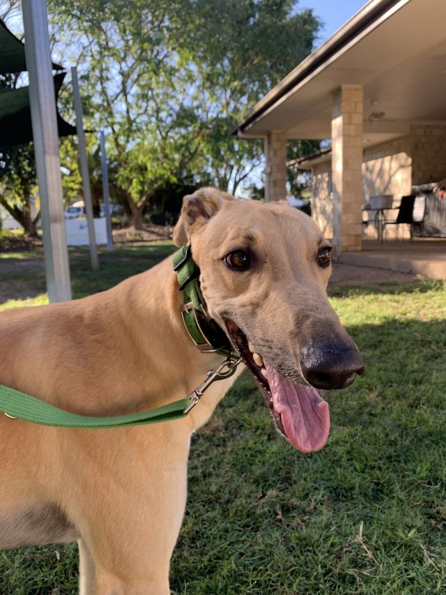 Photo of Jet
