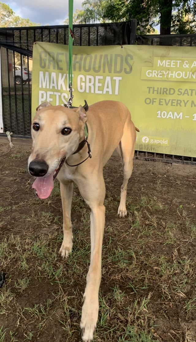 Photo of Jethro