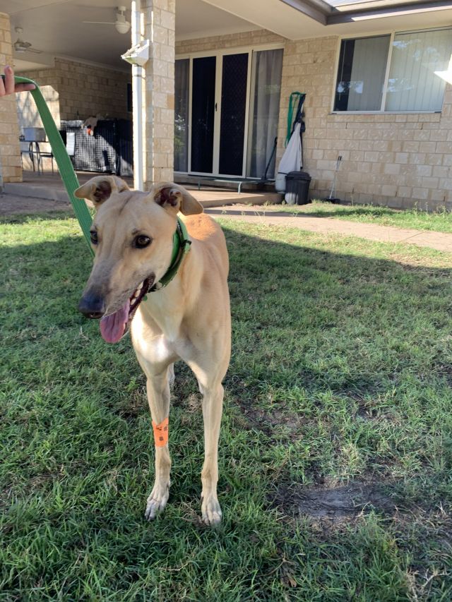 Photo of Jet