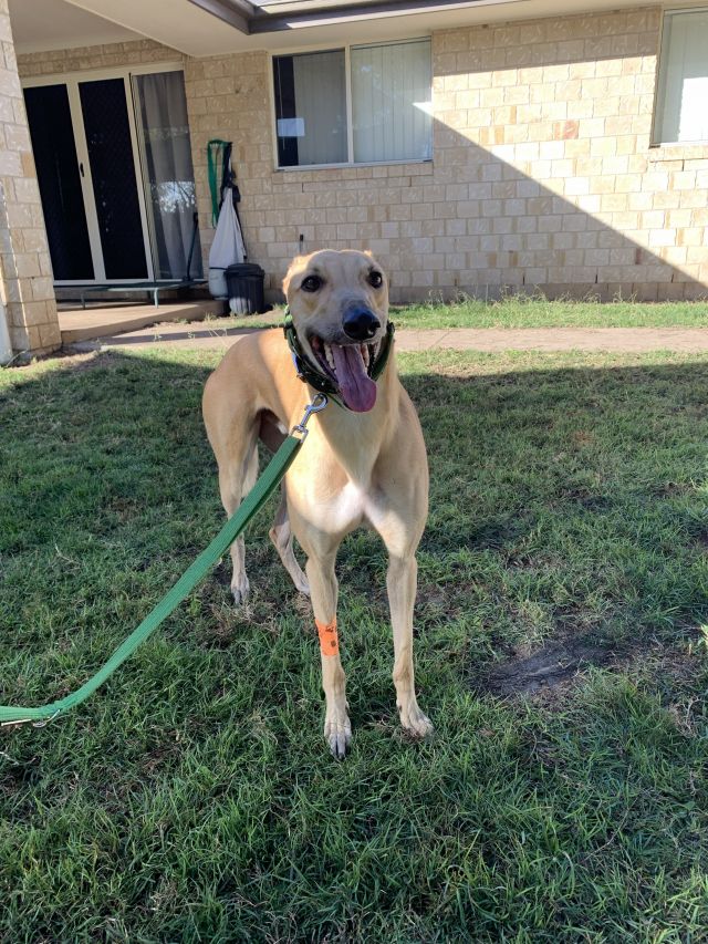 Photo of Jet