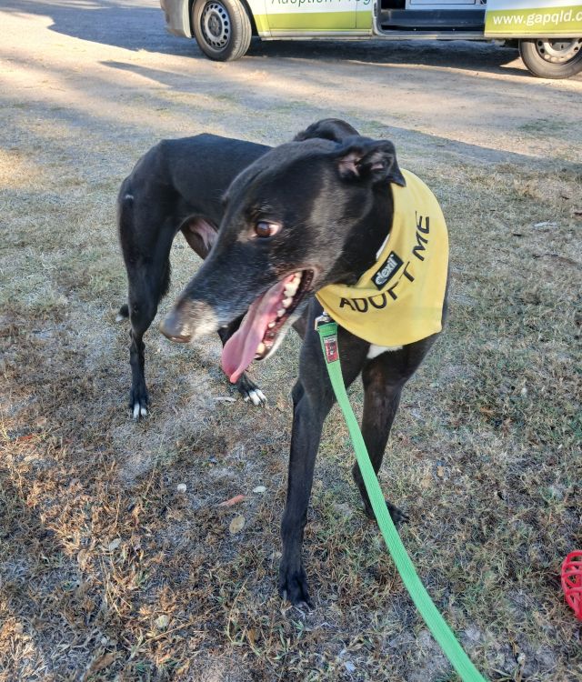 Photo of Jasper