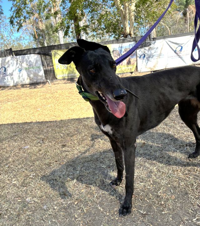 Photo of Lacey