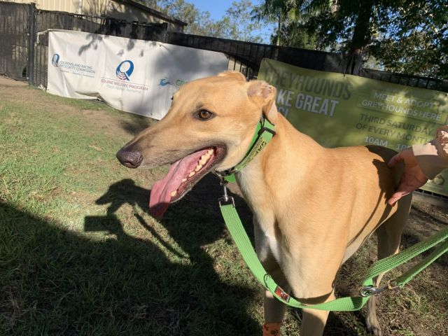 Photo of Jet