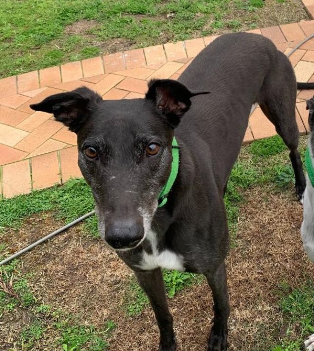 Photo of Ernie