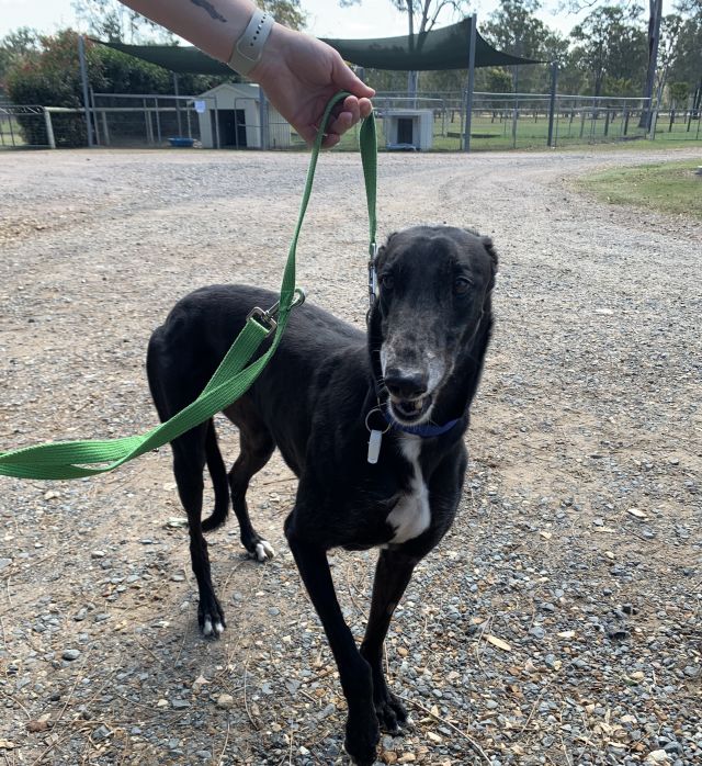 Photo of Storm