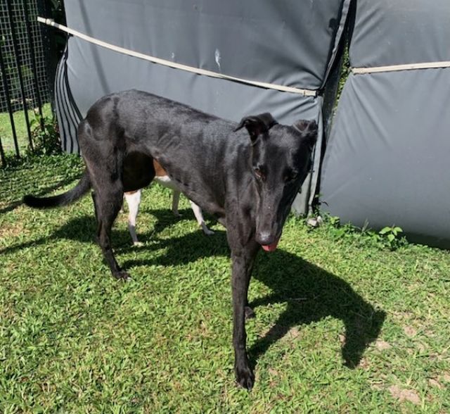 Photo of Serena