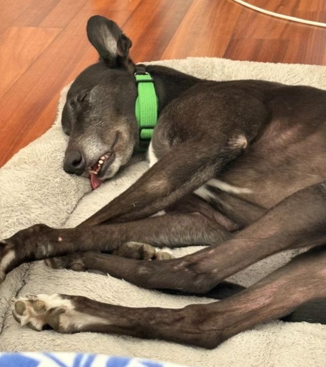Photo of Ernie