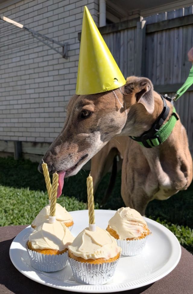Photo of Pesto