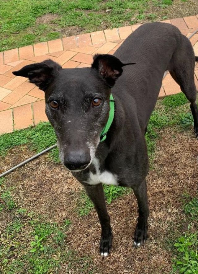 Photo of Ernie