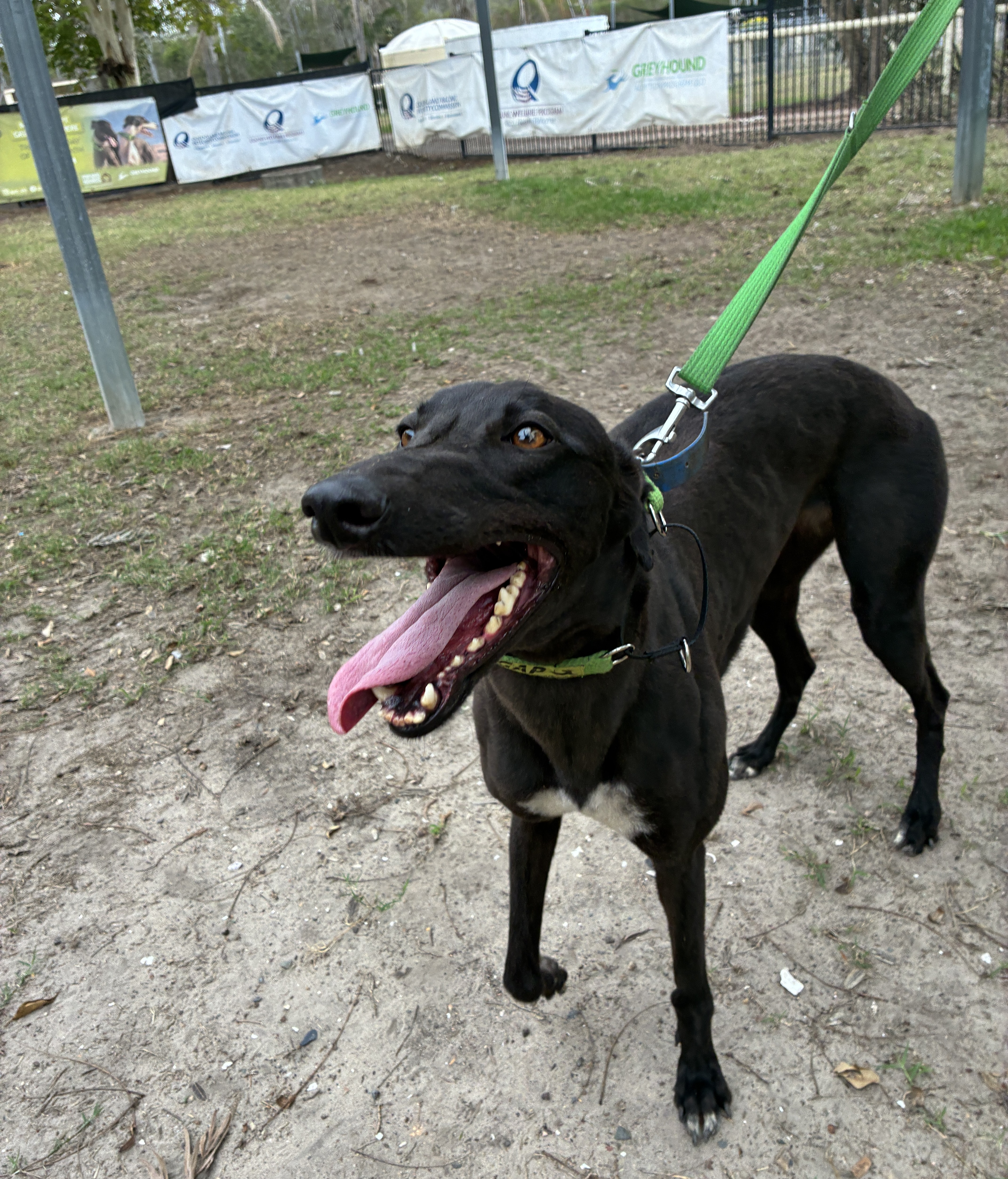 Image of Sally