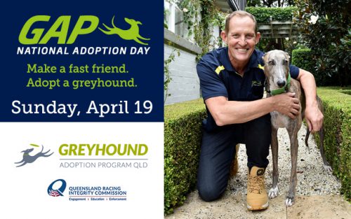 Todd McKenney commits to a third year as National Adoption Day Ambassador