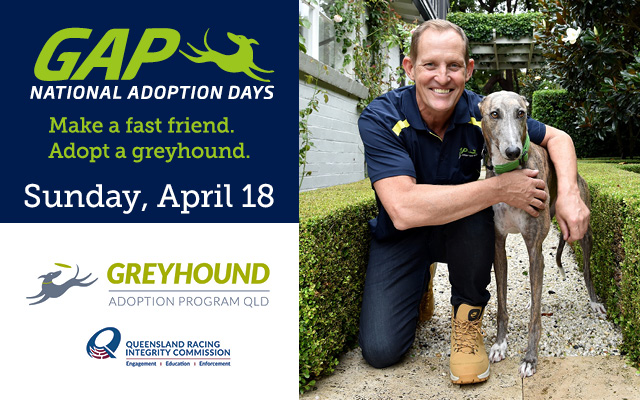 GAP opens its doors to the public this Greyhound National Adoption Day