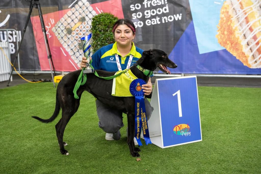 GAP dogs again a success at Ekka