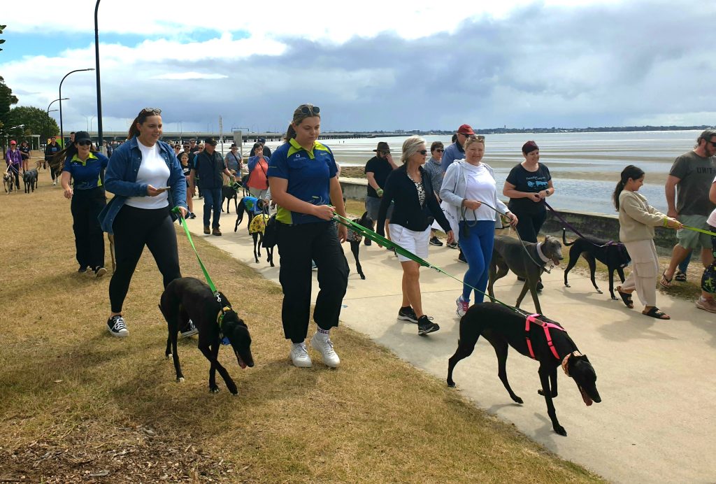 2024 Great Global Greyhound Walk