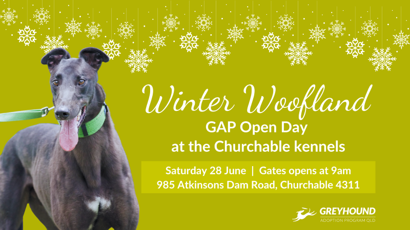 GAP QLD opens its doors for Winter Woofland Open Day